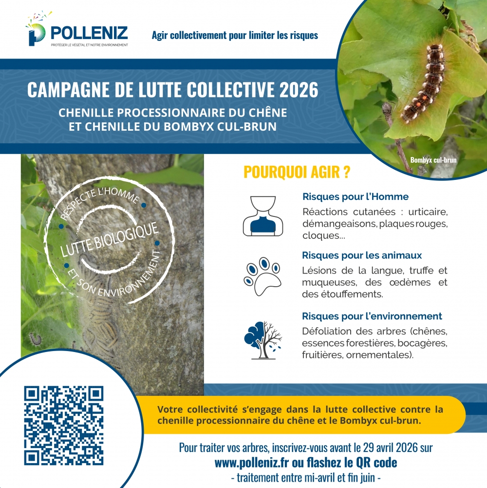 Campagne collective : la chenille processionnaire