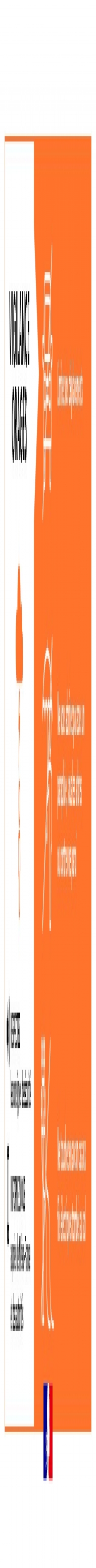 Orages : vigilance orange