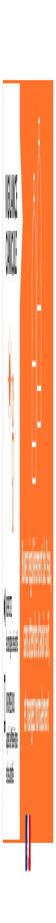 MÉTÉO : Vigilance orange