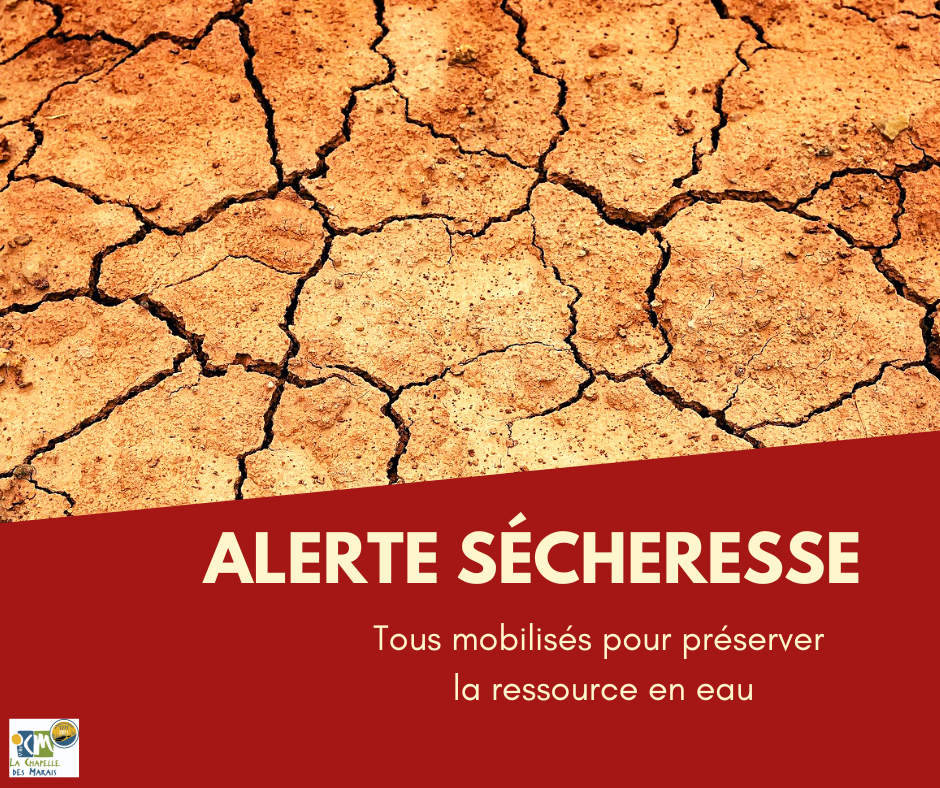 Eau potable : niveau crise