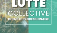 Campagne collective : la chenille processionnaire