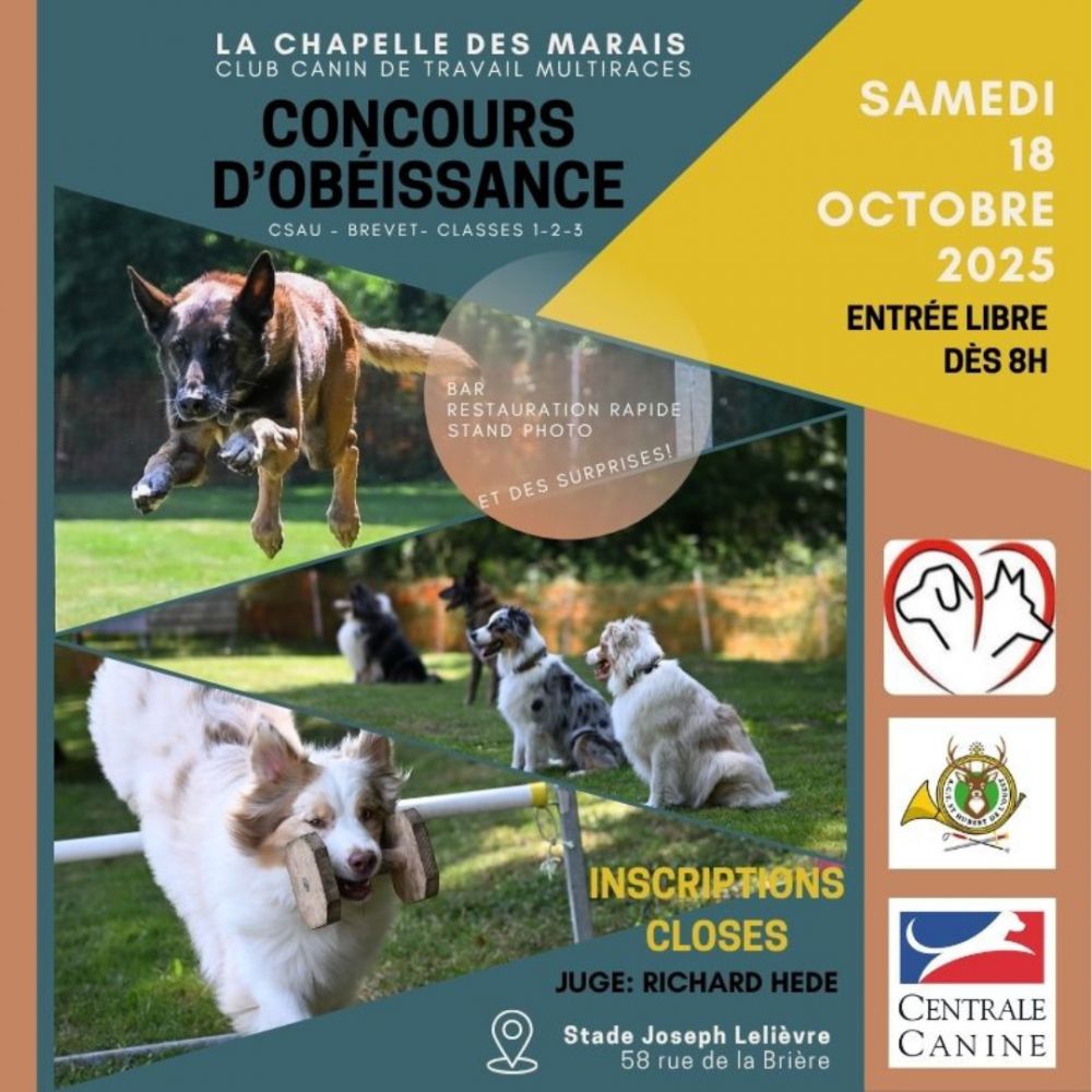 Concours Canin d'obéissance