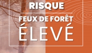 Risque feux de forêt : ÉLEVÉ