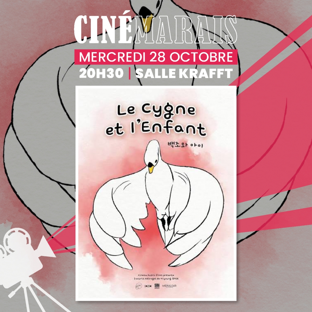 Le cygne et l'enfant