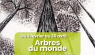 Arbres du monde